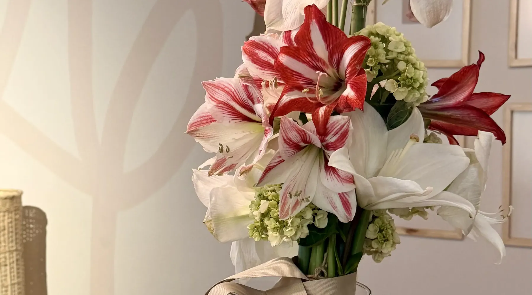 Pink and white amaryllis in a glass vase